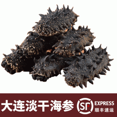 大连 淡干海参 辽刺参 加工定制 厂家直供