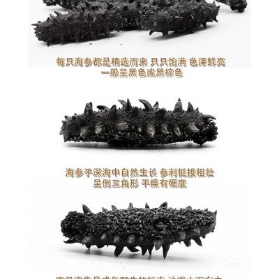 大连淡干海参干货50g刺参 海参批发厂家直供 一手货源 一件代发图4