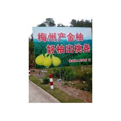 梅县宝坑红柚果场直销三红蜜柚水果现在大量批发零售