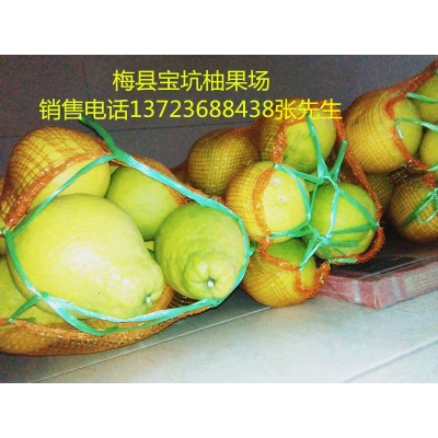 梅县桃尧沙田柚 批发柚子水果零售可快递图2