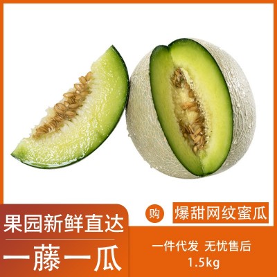 青青大地海阳网纹瓜静冈玫珑甜瓜冰淇淋哈密瓜新鲜当季水果3斤箱