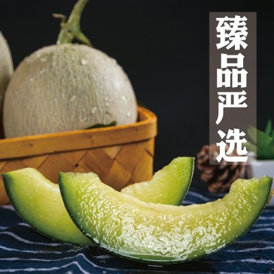 青青大地网纹瓜海阳冰淇淋哈密瓜玫珑甜瓜新鲜当季水果5斤原产地图3