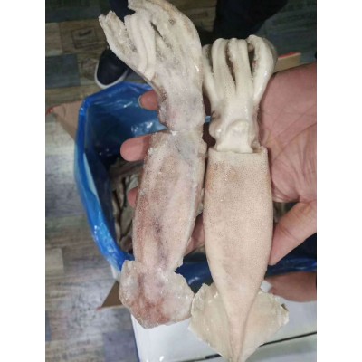 正兴湾鱿鱼 餐饮源头 烧烤自助 单冻鱿鱼 团购酒店 批发商超 社区图3