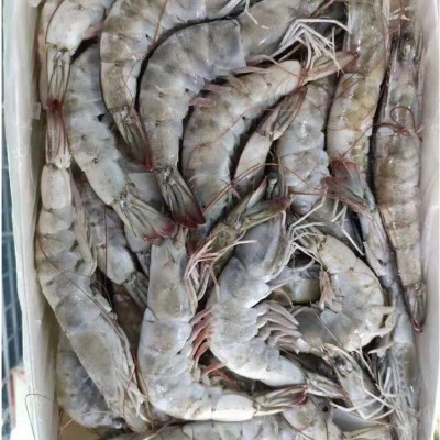 王牌 正兴源头 火爆热销 批发商超餐饮厅大宗采购 自助 团购专卖图2
