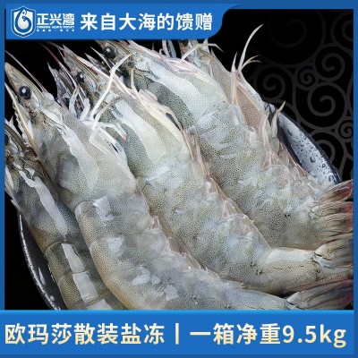 正兴湾白虾 热卖爆款 餐饮预制菜 团购 采购专卖商超 酒店 自助