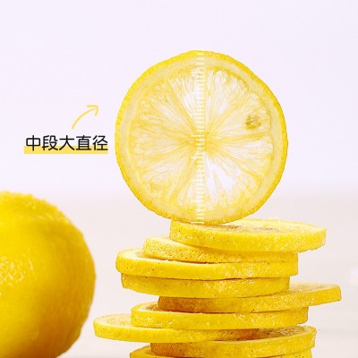 九菊堂蜂蜜冻干柠檬片茶独立包装水果茶泡水柠檬片花果茶直播代发图3