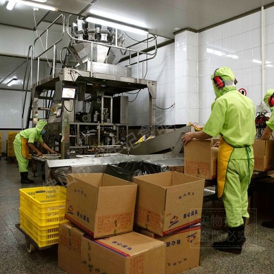 速冻食品鱼丸 关东煮7-11便利店小吃炸制品火锅食材鱼丸 厂家批发图3