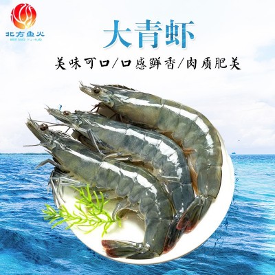 青岛大青虾批发 草虾对虾整箱冷冻水产品批发 商超烧烤冷冻大青虾图2
