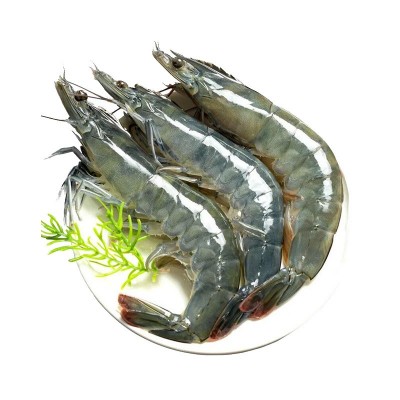 青岛大青虾批发 草虾对虾整箱冷冻水产品批发 商超烧烤冷冻大青虾图5