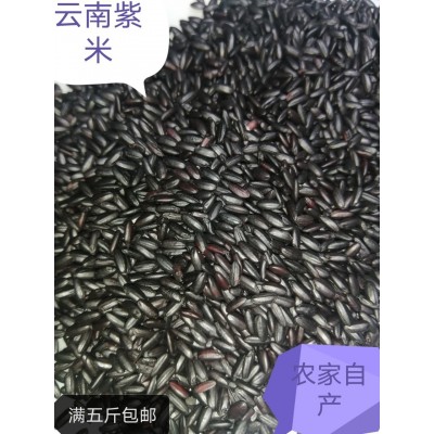 批发紫米紫糯米500g新米散装产黑糯米粥血糯米五谷杂粮