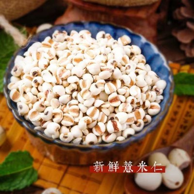 当季新货农家自产散装薏米新薏米薏米仁小薏米五谷杂粮图4
