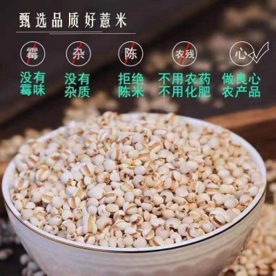 当季新货农家自产散装薏米新薏米薏米仁小薏米五谷杂粮图2