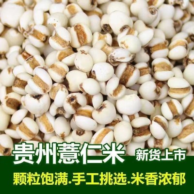 当季新货农家自产散装薏米新薏米薏米仁小薏米五谷杂粮图1