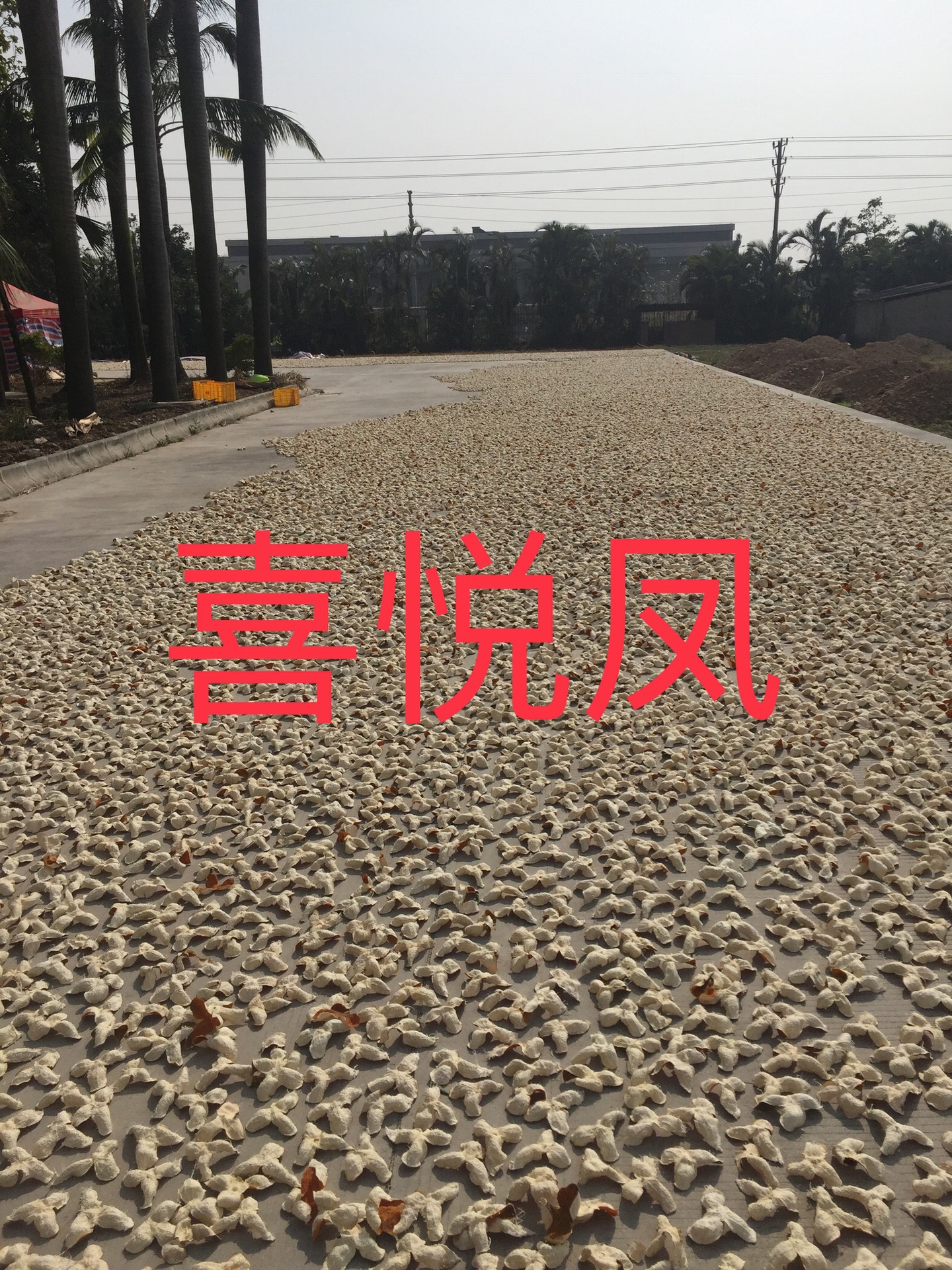 微信图片_20181013115150