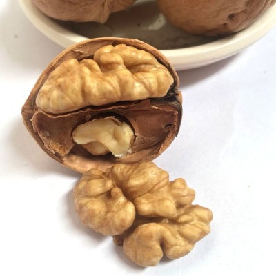 新货新疆纸皮核桃阿克苏185纸皮核原味纸皮核桃零售批发图2