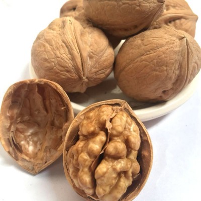 新货新疆纸皮核桃阿克苏185纸皮核原味纸皮核桃零售批发图3