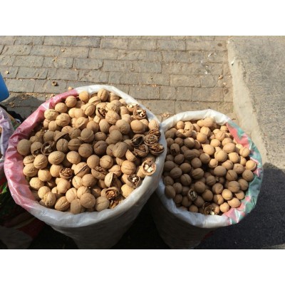 新疆薄皮核桃原味核桃核桃仁饱满散装批发  2箱起批图5