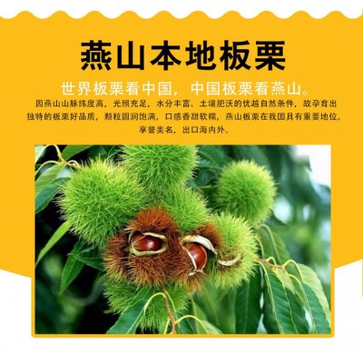 工厂定制散装遵化燕山开口笑冷冻冰栗仁带壳冷冻鲜板栗全年供货图5