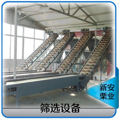 跑江湖板栗本小利大毛栗子油板栗地摊货大量批发栗子仁栗子粉图3