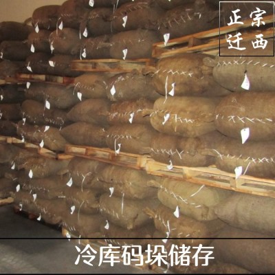 跑江湖板栗本小利大毛栗子油板栗地摊货大量批发栗子仁栗子粉图4