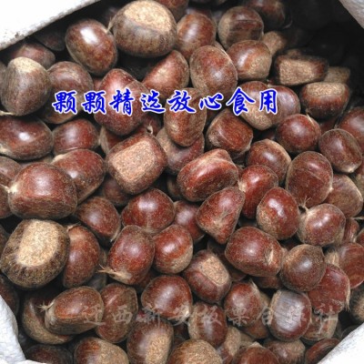 3斤一份/新鲜栗子迁西板栗大量批发毛栗子质量优价格低一件代发WG图3