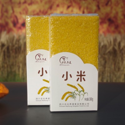 工厂小米现货批发小黄米五谷杂粮宝宝米月子米煮粥原料390g/袋图2
