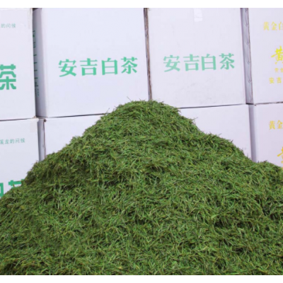 原产地货源2022年明前高山凤形安吉白茶散装现货批发绿茶白茶新茶图2