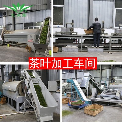三尖露黄山毛峰春茶雀舌绿茶大货批发图3