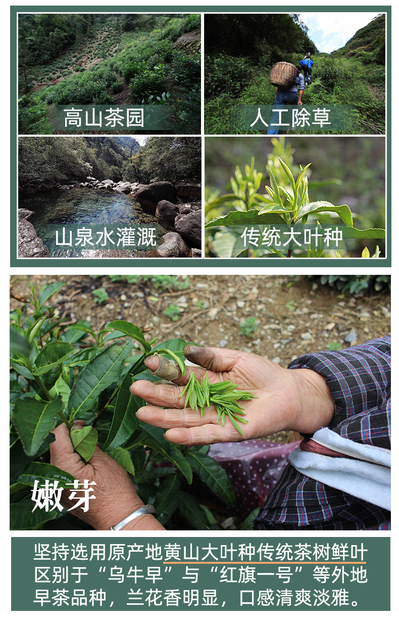毛峰礼盒详情页_07