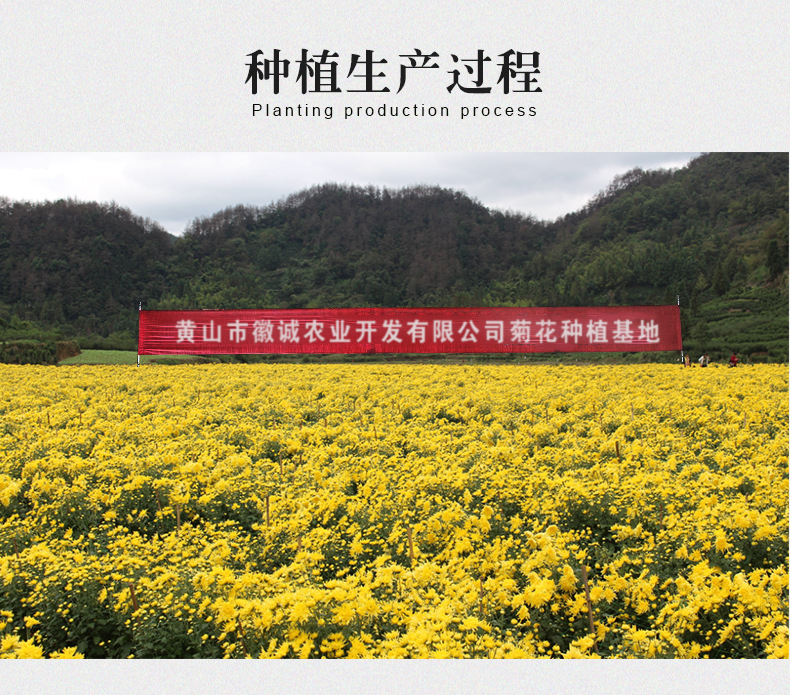 金丝罐装详情页_05