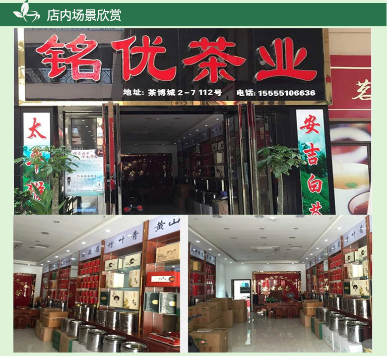 黄山茶_11