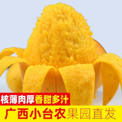 广西小台农芒果5/9斤时令水果小台芒鸡蛋芒大台农一件代发图3