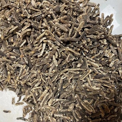 大货批发印尼刺王参淡干印尼刺王参酒店酒家饭店煲汤滋补食材刺参图3