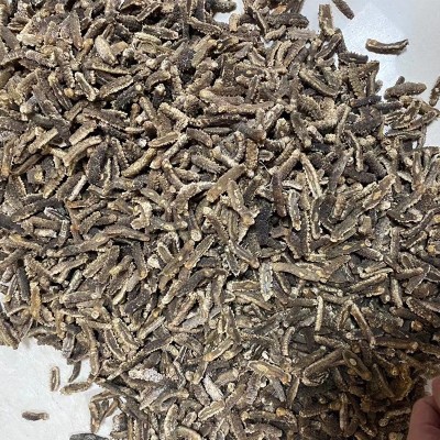 大货批发印尼刺王参淡干印尼刺王参酒店酒家饭店煲汤滋补食材刺参图4