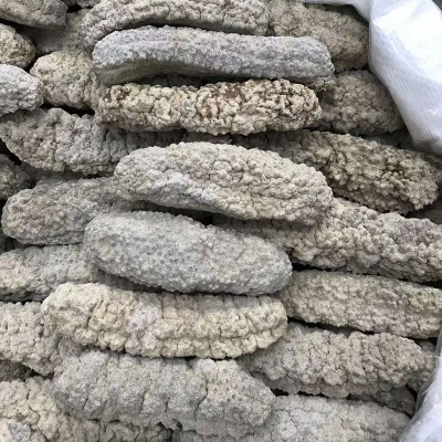 档口批发20头25头淡干黄玉参印尼黄玉参底播淡干海参干货批发代发图4