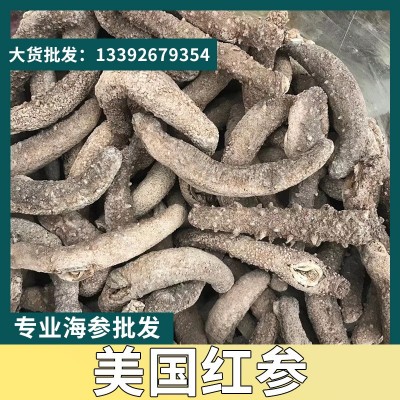 批发供应大量足干美国红参13头17头30头40头美国红参海参干货批发图1