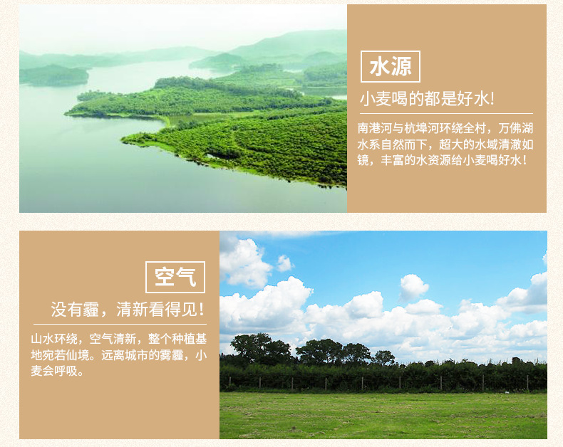 过湾-面粉详情_05