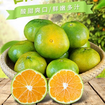 新鲜青皮蜜桔酸甜可口柑橘子农家果园营养丰富新鲜采摘图1