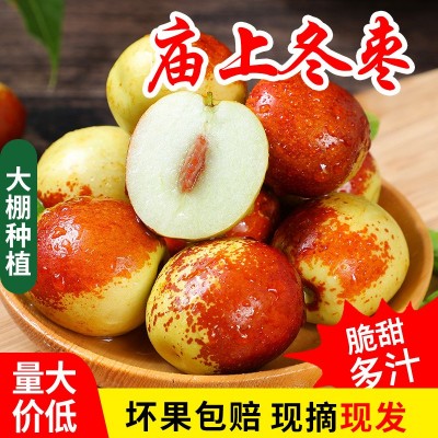 应季现摘山西庙上脆甜沾化冬枣新鲜水果 脆枣青枣红枣非陕西冬枣图1