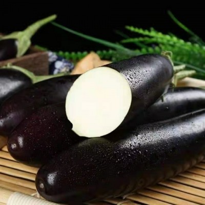 山东新鲜长茄子5斤长线大茄子当季紫茄子农家自种3现摘蔬菜10图5