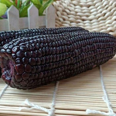 甜糯玉米黑玉米10橞220g 鲜食玉米粘玉米棒子真空装粘苞米图1