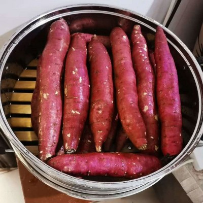陕西板栗红薯新鲜香甜糯现挖现发地瓜农家自种蜜薯沙地薯番代发图5