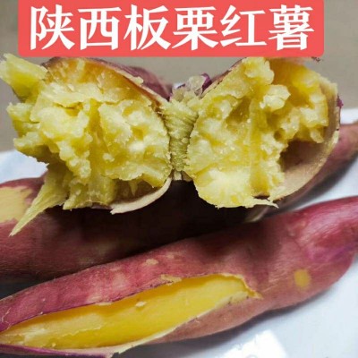 陕西板栗红薯新鲜香甜糯现挖现发地瓜农家自种蜜薯沙地薯番代发