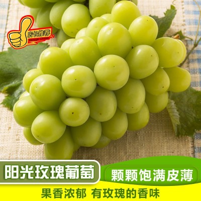 云南阳光玫瑰晴王葡萄新鲜当季水果无籽香印青提子