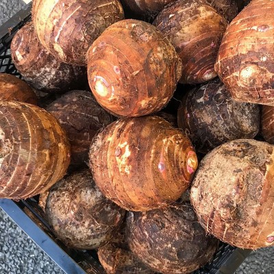 云南弥勒小芋头 细糯粘滑云南高山种植自然新鲜蔬菜3斤装芋头批发图5