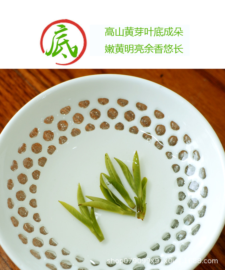 黄芽288-4.png