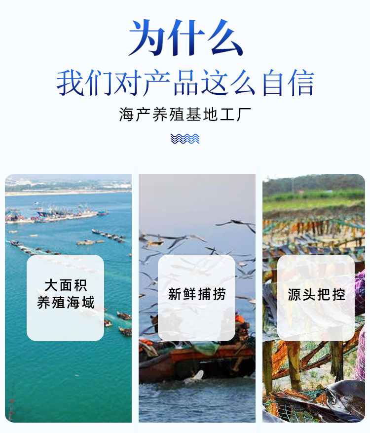 详情-副本_05.jpg