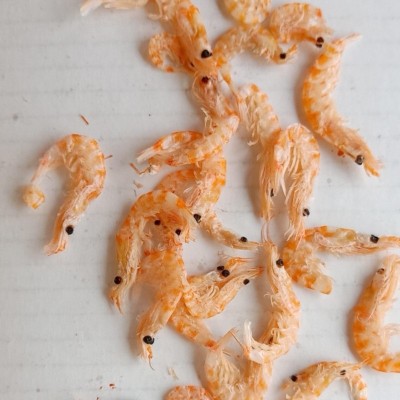 海米 南极磷虾即食烘培小红虾虾米虾皮补钙图3