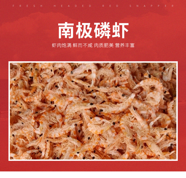 南极磷虾_01