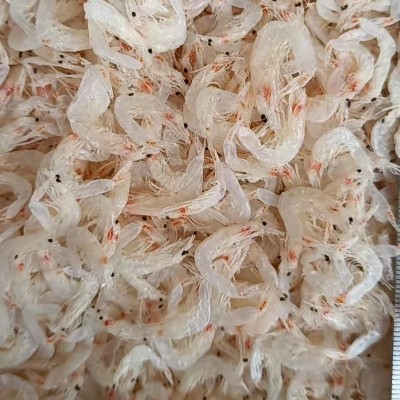 批发零售营养淡晒淡干海产品大号虾皮 散装海鲜虾皮供应图3